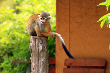 Similar image 8178966