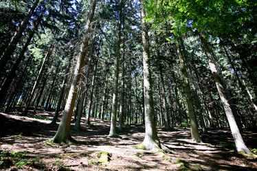 Similar image 8178976