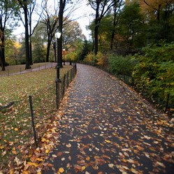 Similar image 8178981