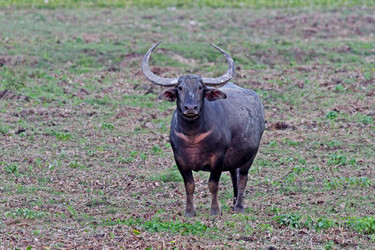 Similar image 8178992