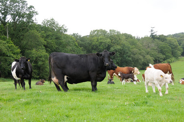 Similar image 8178996