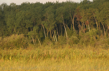 Similar image 8178999