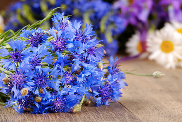 Similar image 8179012