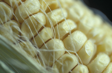 Similar image 8179026