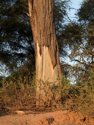 Similar image 8179027