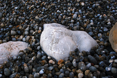 Similar image 8179029