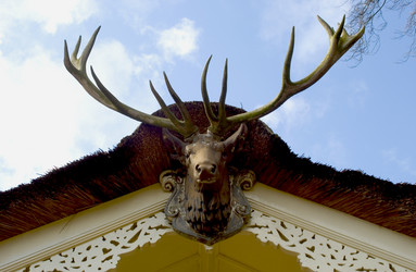 Similar image 8179054