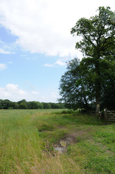 Similar image 8179057