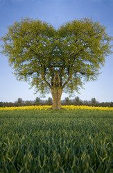 Similar image 8179075