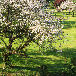 Similar image 8179078