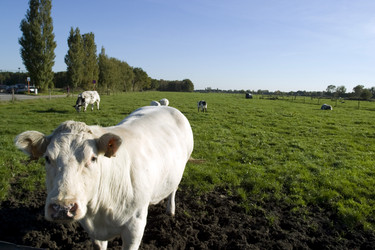 Similar image 8179089