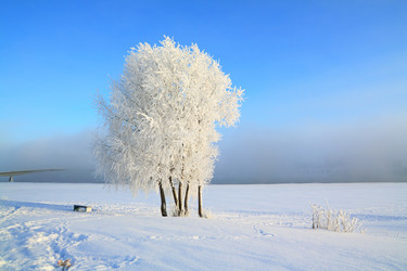 Similar image 8179092