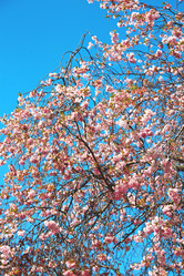 Similar image 8179101