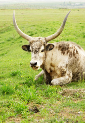 Similar image 8179107