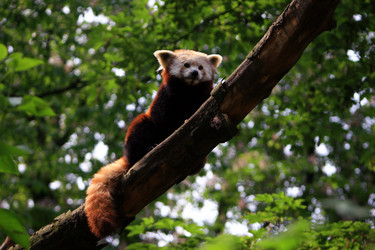 Similar image 8179112