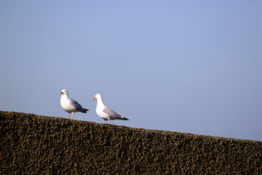 Similar image 8179113