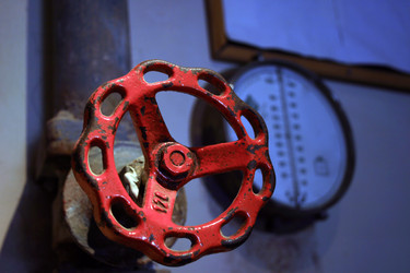 Similar image 8179117