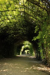 Similar image 8179120