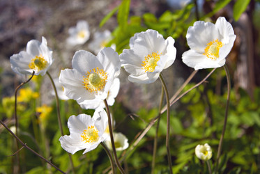 Similar image 8179128