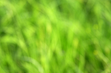 Similar image 8179131