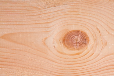 Similar image 8179141