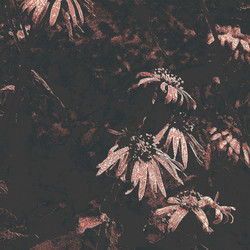 Similar image 8179150