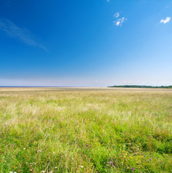 Similar image 8179154