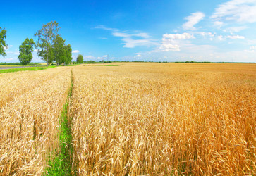 Similar image 8179157