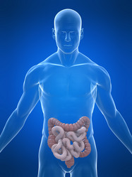 Similar image 8179164