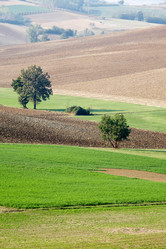 Similar image 8179177