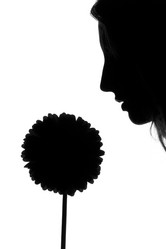 Similar image 8179189