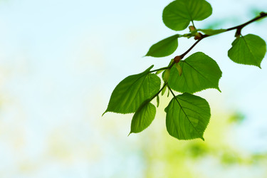 Similar image 8179208