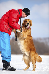 Similar image 8179230