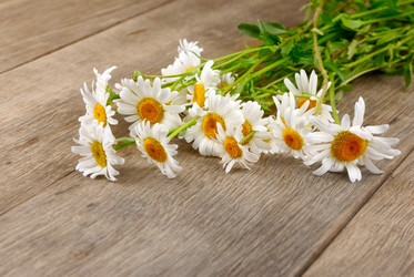 Similar image 8179248