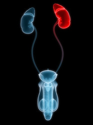 Similar image 8179259