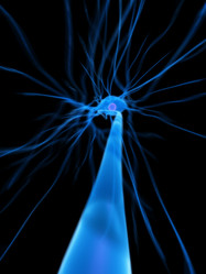 Similar image 8179286