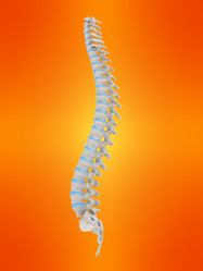 Similar image 8179311