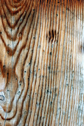 Similar image 8179327