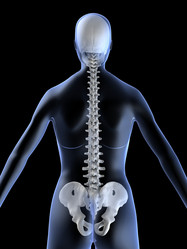 Similar image 8179345