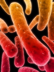 Similar image 8179379