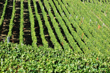 Similar image 8179392