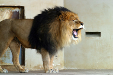 Similar image 8179424