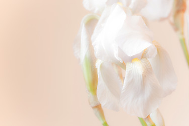 Similar image 8179474