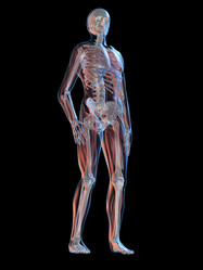 Similar image 8179477