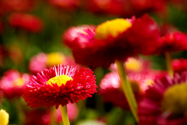 Similar image 8179489