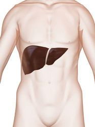 Similar image 8179495