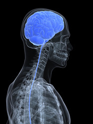 Similar image 8179497