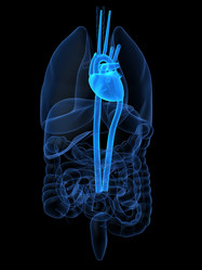 Similar image 8179501