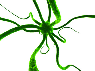 Similar image 8179509