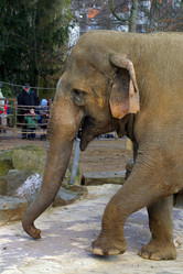 Similar image 8179544